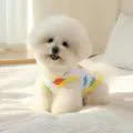 Summer dinosaur print mesh pet vest detail view, breathable dog clothes for small pets. - XS / Little Dinosaur (Tank Top)
