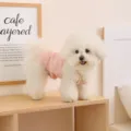 Breathable summer pet vest for small dogs, featuring delicate pink lace trim and cute details. - L / Pink