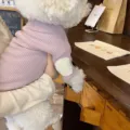 Detail shot of soft ribbed pet sweater in light purple with cute elbow patches for small dogs. - XS / Purple