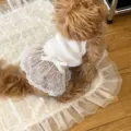 Cute puppy lace suspender dress detail, white knit tank top and mesh skirt for small dogs. - XS / White