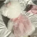Close-up detail of a cute pink pet lace dress with a big bow and pearl for small dogs. - XS / Pink Wedding Dress