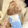 Detailed shot of a cute pet hoodie in light blue with white hood and hug print on back. - XS / Blue