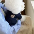 Linda chaqueta con capucha de mezclilla para perros pequeños ropa invierno cachorros comoda - XS / Azul marino