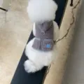 Cute dog winter fleece vest with leash ring and hood, warm pet clothes for small dogs, detail view. - XS / Coffee