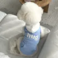 Blue and white pet hoodie detail, cute dog sweatshirt with pocket, comfortable spring wear - XS / Blue