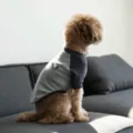Cute pet sweatshirt for small dogs and cats, grey spliced design with cute embroidery. - XS / Dark Gray