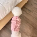 Cute pink pet sweatshirt with bow details for small dogs and cats, autumn winter warm apparel. - S / Pink