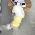 Cute yellow pet dog hoodie with pocket and hug print, comfortable apparel for small dogs. - XS / Yellow