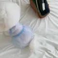 Cute summer pet mesh dress for dogs and cats, breathable blue dot puppy clothes for small pets. - XS / Blue