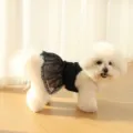 Detail shot of cute small dog wearing black lace strap dress, pet clothing scenario display. - XS / Black
