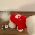 Detail shot of red Christmas pet sweatshirt with cute Santa Claus embroidery for small dogs. - XS / Red Christmas