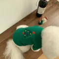 Detail shot of a cute green pet hoodie with a Christmas tree embroidery for small dogs. - XS / Green Christmas