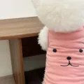 Pink pet vest detail, breathable summer dog clothes with cute cartoon face print, soft fabric. - XS / Pink