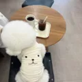 Summer thin breathable pet vest for small dogs like teddy and bichon, cute cartoon face design. - XS / White