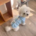 Detail view of cute autumn winter pet dog sweatshirt in light blue with sweet white bow decor. - XS / Blue