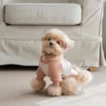 Cute pet dog cat hoodie sweater pink white colorblock winter warm apparel for small dogs - XS / Light Khaki