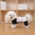 Cute black and white pet jumpsuit costume for small dogs like Bichon and Teddy daily wear. - XS / Panda Raincoat (4)