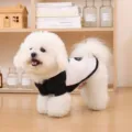 Detail view of black and white small dog raincoat, cute pet apparel for bichon and teddy. - XS / Panda Raincoat (2)