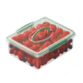 Transparenter Kunststoff-Frischhaltebehälter mit grünem Deckel und Griff für frisches Obst. - ZG-1272