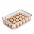 Scatola di conservazione per uova in plastica trasparente con 24 griglie per frigorifero. - 24 Griglie / Trasparente