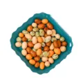 Teal scalloped plastic snack dish and bone plate variant, durable and multi-purpose for household use. - Emerald
