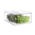 Transparente Kunststoff Kühlschrank Aufbewahrungsbox mit Abtropfgitter für Obst und Gemüse frisch. - ZG-1122 / Transparent