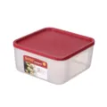 Food grade refrigerator storage box plastic clear square container with red lid for fresh fruit. - Medium (20x20x9.3cm) / Transparent Red