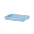 Blue plastic rectangular serving tray, versatile tableware for dessert, fruit and steak. - Blue