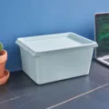 Scatola di Immagazzinaggio in Plastica Azzurra con Coperchio Organizzatore Casa - Verde Grigio Chiaro