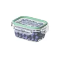 Clear airtight plastic food storage container with green lid for kitchen fridge and fresh fruit. - ZG-218-S