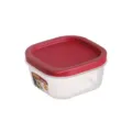 Square plastic food storage box with red lid, durable kitchen organizer container for fridge. - ZG-2119S (220ml) / Dark Red