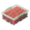 Clear plastic food storage container with green lid and fresh strawberries inside variant - ZG-1271 / Dark Green