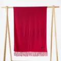 Einfarbiger Winter Kaschmir Gefühl Quasten Schal Damen warmer langer eleganter Schal Accessoire - Weinrot