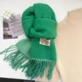 Green cozy solid color reversible winter scarf for women warm thick cashmere feel shawl - Grass Green