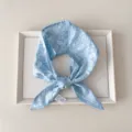 Detailaufnahme eines eleganten hellblauen Paisley-Baumwollschals auf einem Tablett. - 20 Spitz - Paisley-Blumen Blau