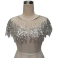 Detail view showing intricate silver sequin and beadwork on a retro evening dress capelet - Radial Sequin Style (801) / Silver