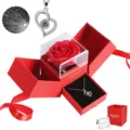 Eeuwige roos geschenkdoos met projectie hart ketting, romantisch cadeau voor Valentijnsdag. - Perzik Hart Ketting Cadeauendoos / Zilver