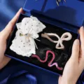 Élégant coffret cadeau de pinces à cheveux avec nœud et pinces griffes dans une boîte bleue. - Lot de pinces à cheveux en plastique [03]