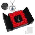 Herz Projektions Halskette und konservierte Rosen Geschenkbox Set, romantisches Valentinstag Geschenk. - Silbernes Herz mit schwarzer Doppeltür-Geschenkbox