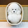 White fluffy dog plush toy in woven basket cute animal doll variant for kids birthday gift. - White Dog
