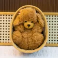 Cute brown curly plush toy dog resting inside an oval woven basket, soft and cozy gift item. - Brown Dog