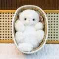 Cute white plush kitten toy in woven basket soft stuffed animal creative birthday gift for kids - White Cat