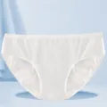 Women white polyester briefs breathable seamless underwear daily comfort panties soft lightweight apparel - L (Under 50 kg) / Women's Polyester Briefs with White Trim