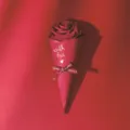 Creative rose ice cream cone candy box European style wedding paper packaging variant - Red Flower with Red Bow / Approx. 21.5cm Long / Red