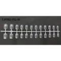 Clear Short Square False Nail Tips Strip Blank Press on Nails Display Mold Practice Training - 24 Pcs/Set / Clear