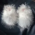 Close-up of luxurious white Mongolian sheep fur slippers with soft curly long-hair texture - 5 (Shoe Length 250, Inner Length 225) / Pure White