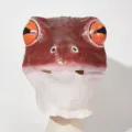 Realistic latex frog mask for Halloween costume party, spooky animal headwear for cosplay events. - Red-Eyed Frog Headgear(XJ0073-2)