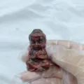 Natural Red Stone Crystal Baby Buddha Figurine Small Statuette For Home Desk Decor - Red Sesame / Red Textured