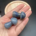 Natural crystal mushroom gemstone carving, smooth polished stone decor for healing and display. - Blue Aventurine