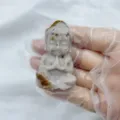 Natural stone baby Buddha crystal carving ornament, 5cm healing gemstone meditation statue. - Indian Red Jade / Red